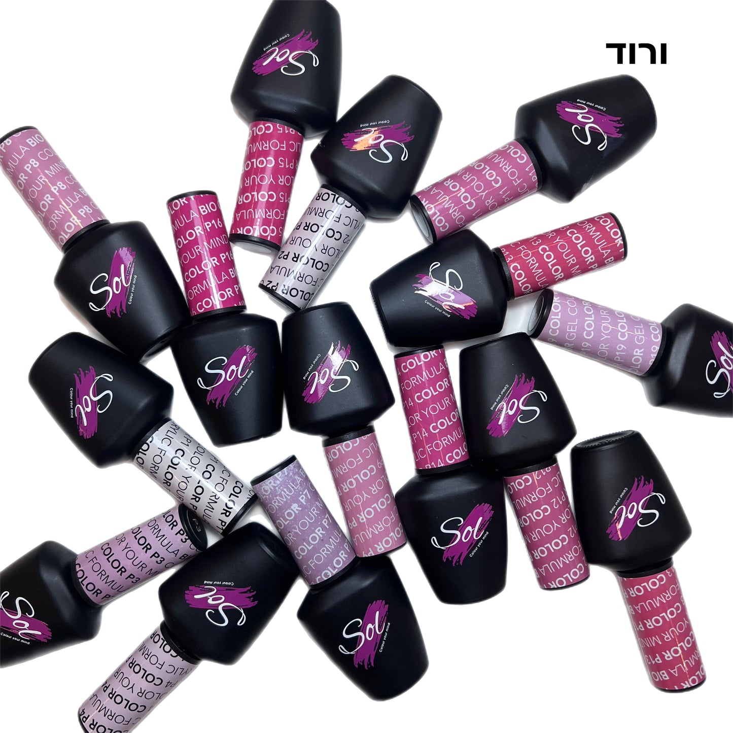 ורודים so