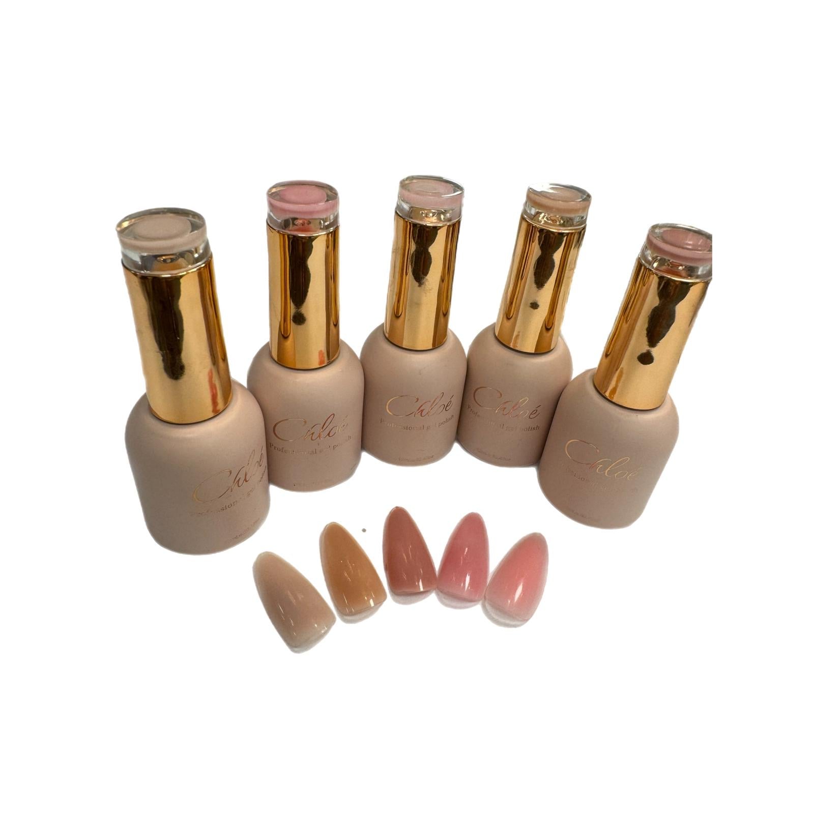 קולקציית קלואי בסיס לפראנץ