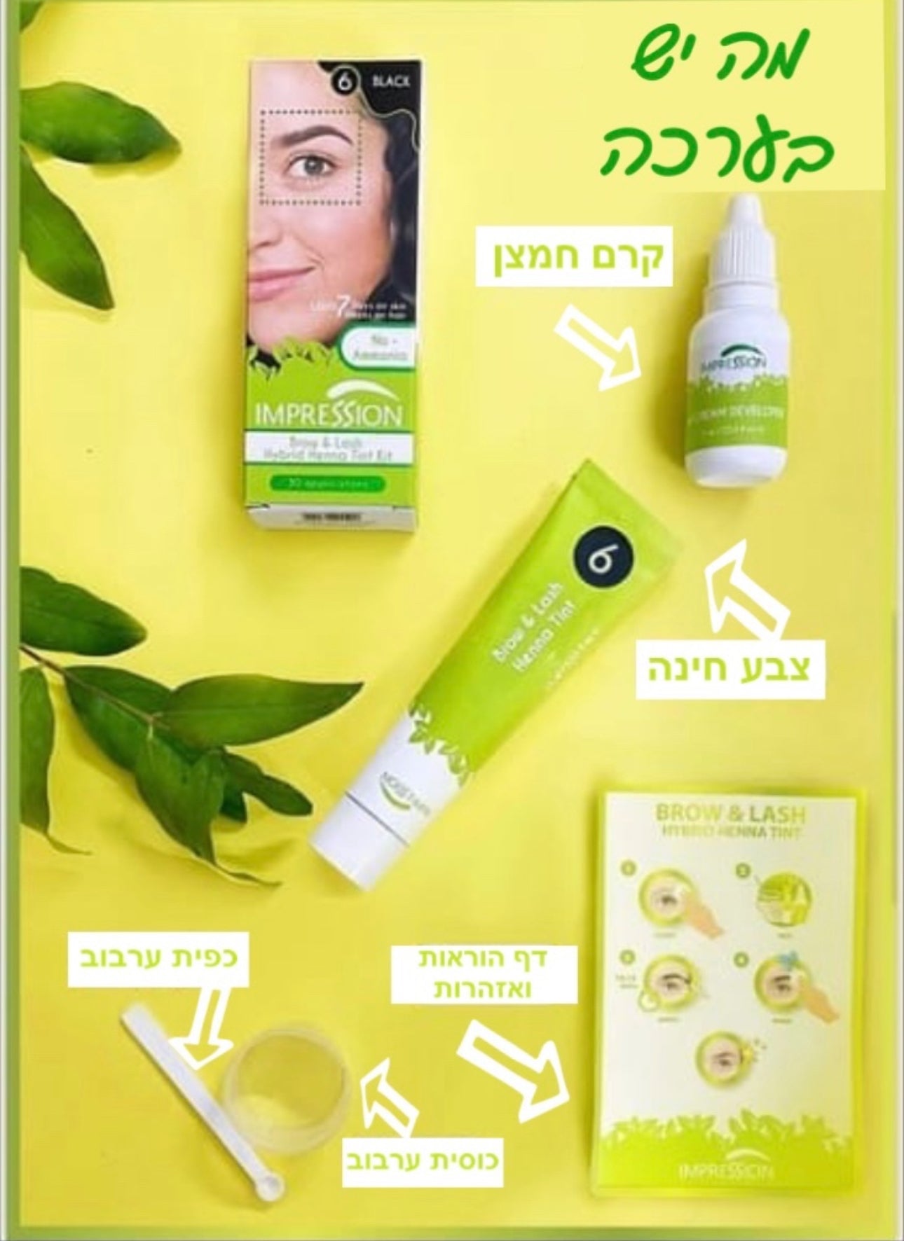 צבע חינה לגבות ולריסים אימפרשן