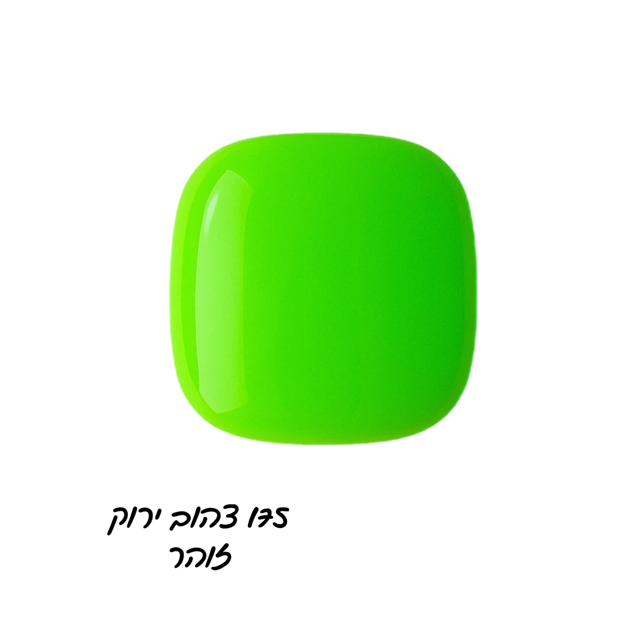 קולקציית summer splash קלואי