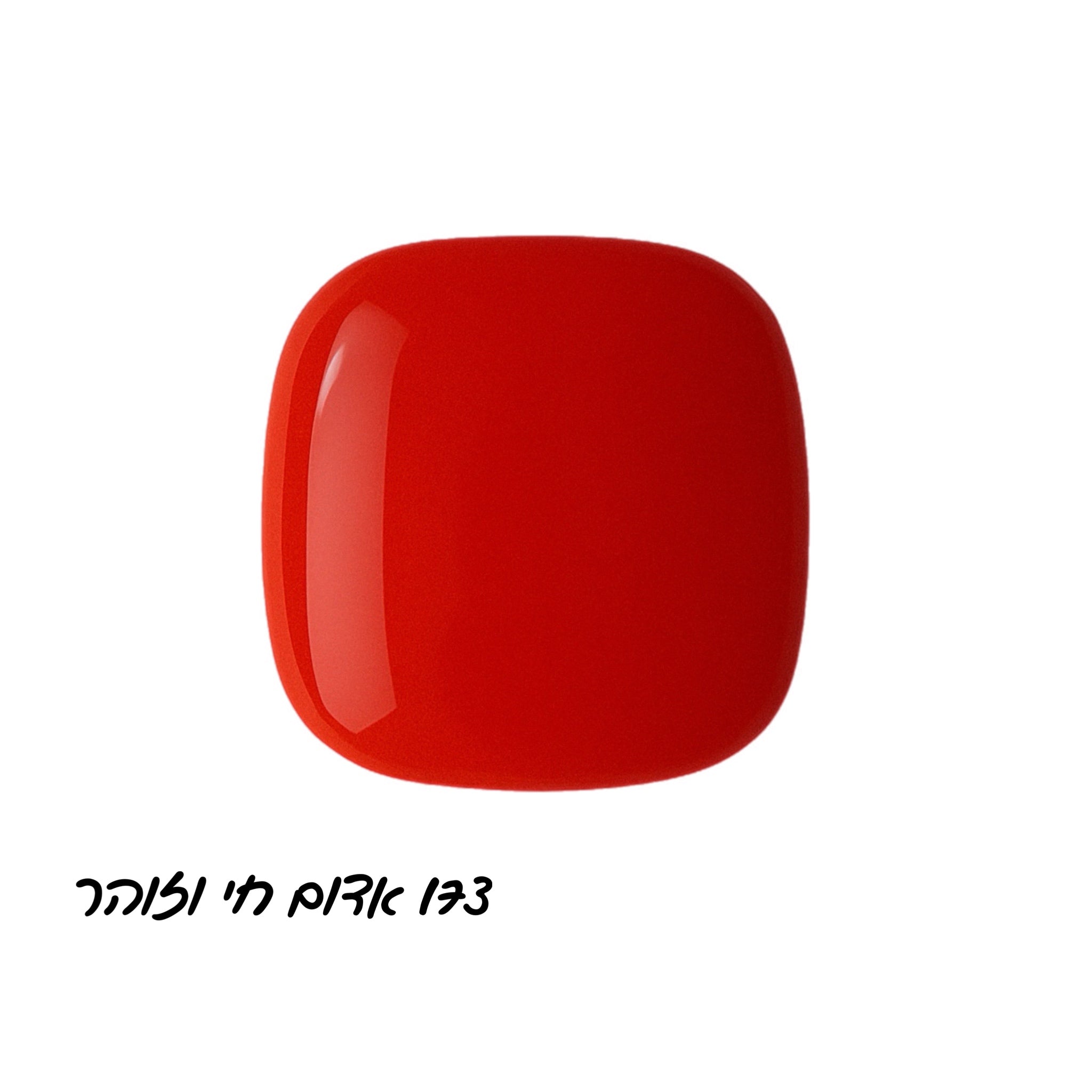 קולקציית summer splash קלואי