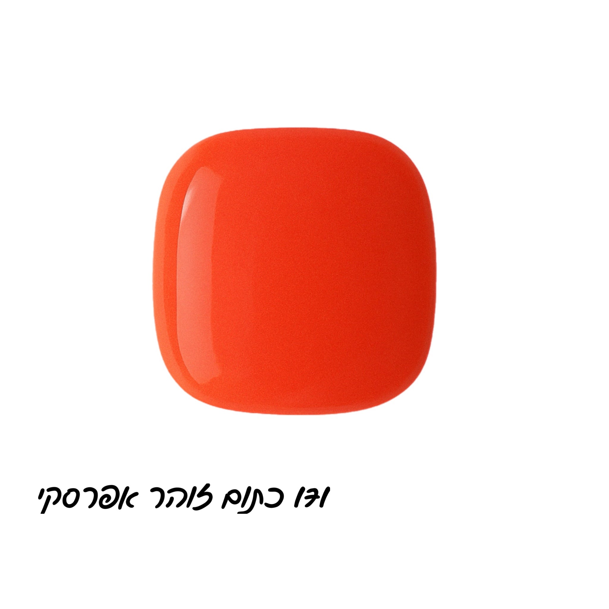 קולקציית summer splash קלואי