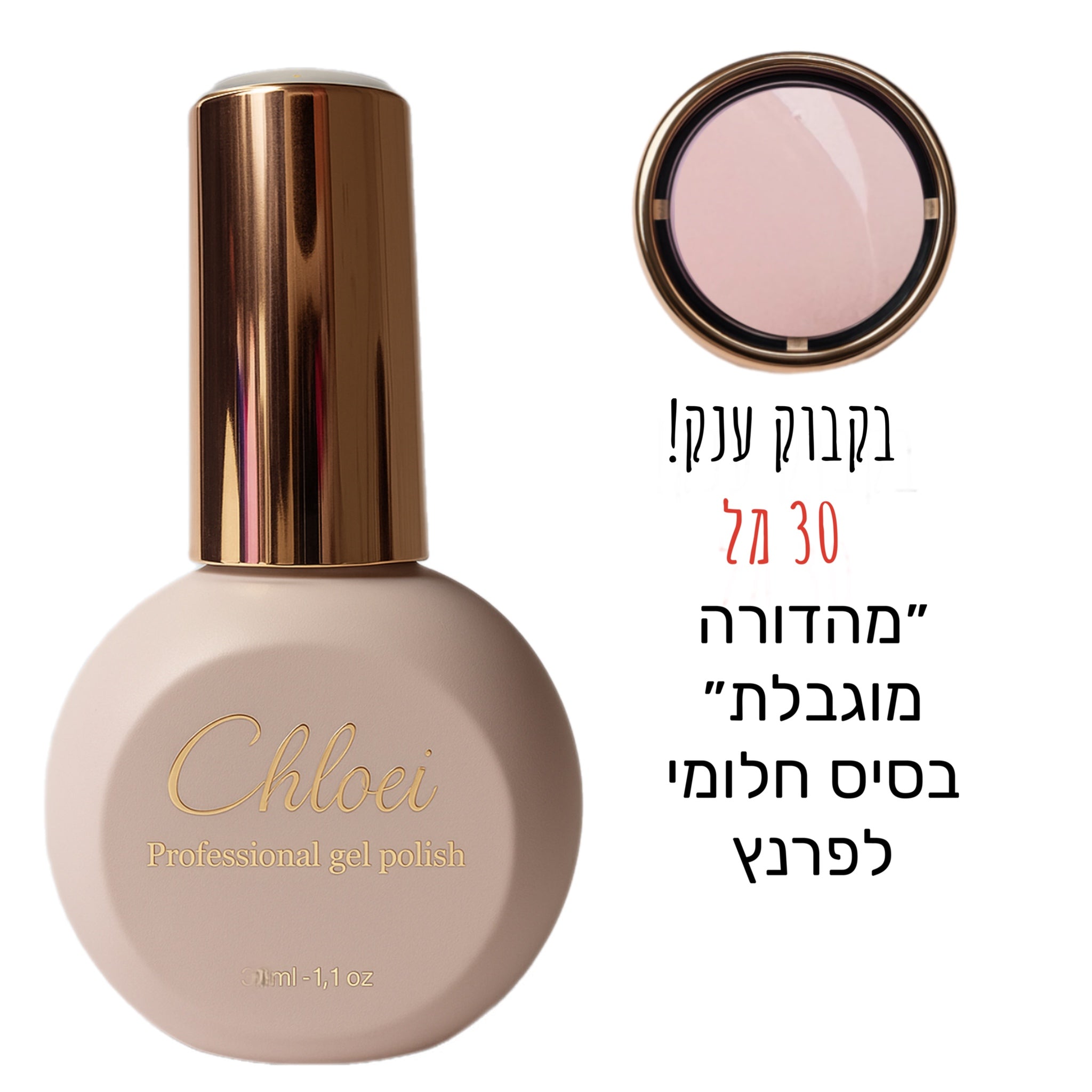 מהדורה מוגבלת! - בסיס חלומי לפרנץ